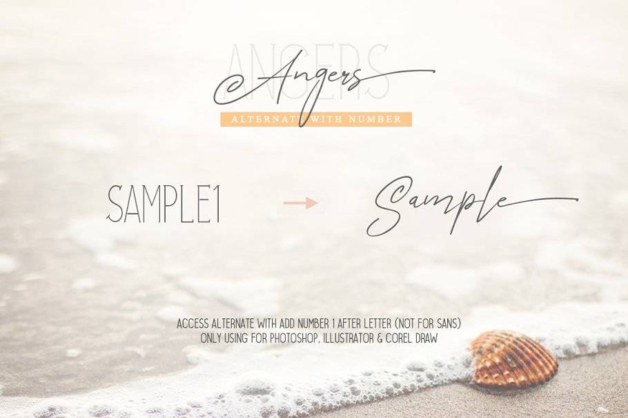 Angers Signature Script Font sample