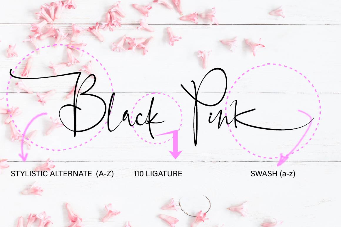 Black Pink Signature Script Font sample