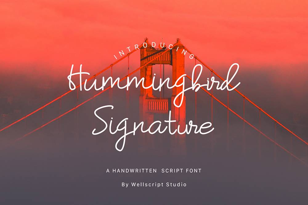 Humming Bird Script Font sample