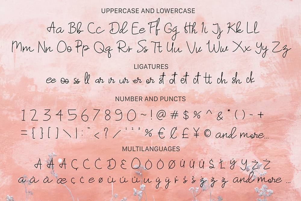 Humming Bird Script Font sample