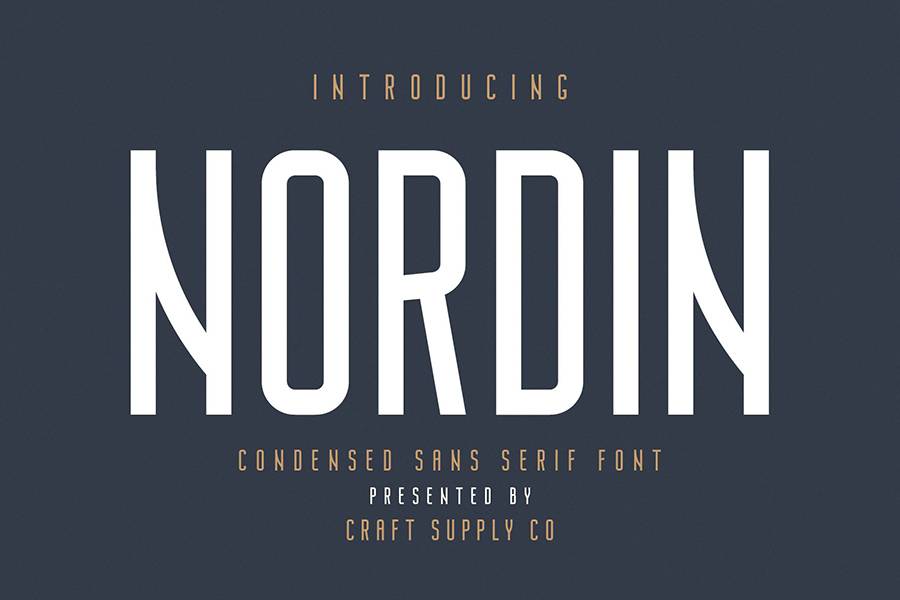 Nordin Sans Serif Demo sample
