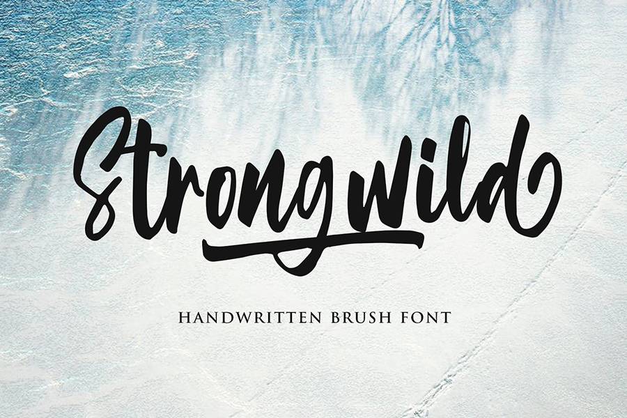 Strongwild Handwritten Brush Font sample