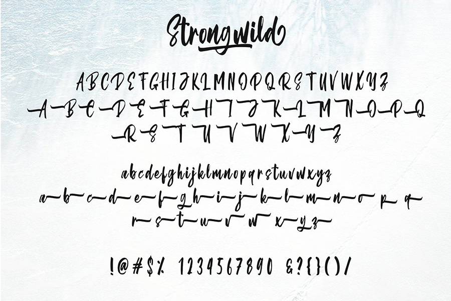 Strongwild Handwritten Brush Font sample