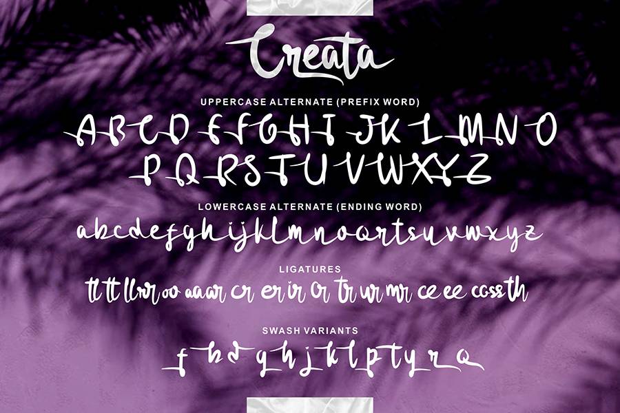 Creata Script Demo sample