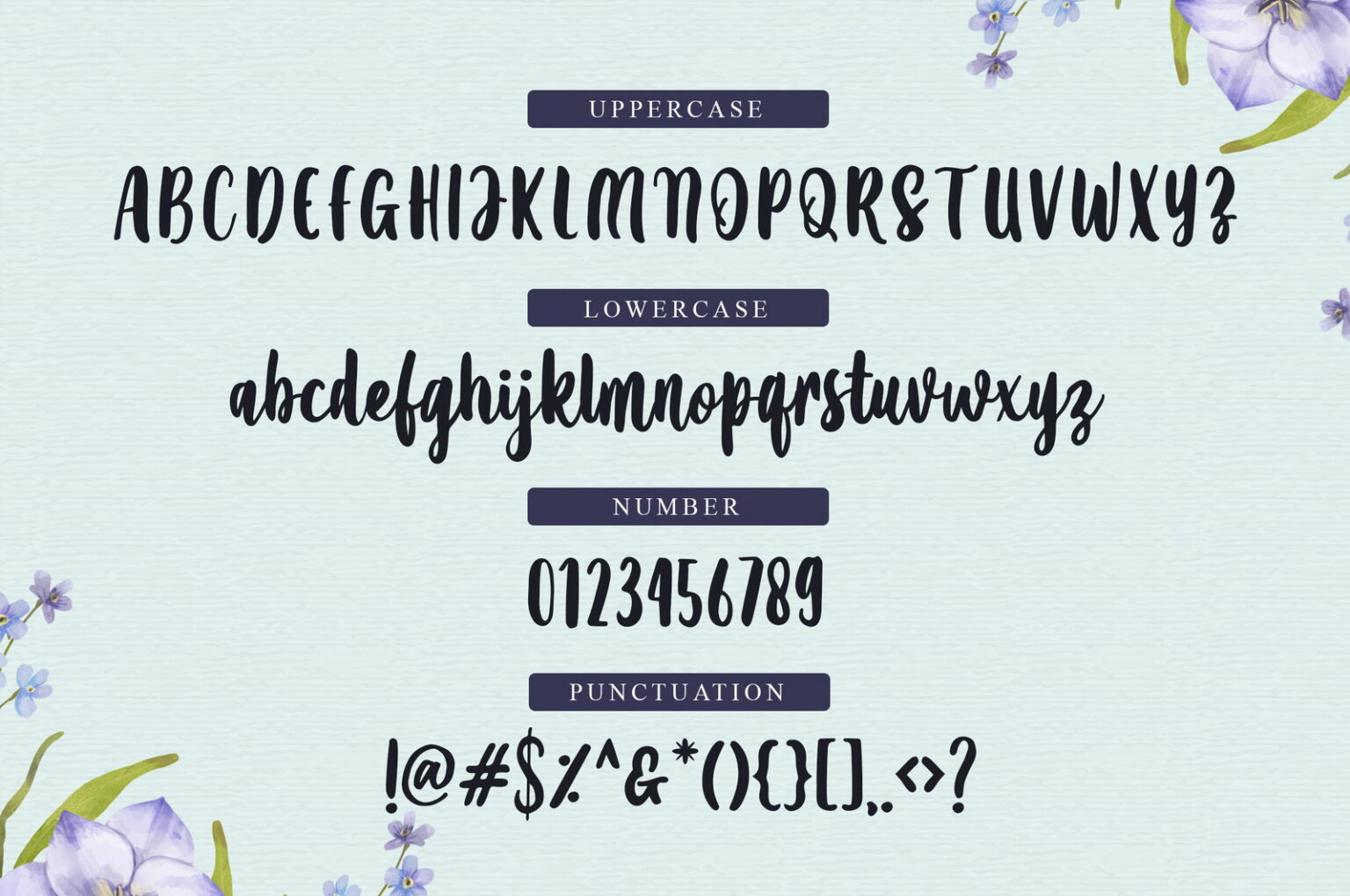 Amanise Script Font Demo | Hey, fonts!