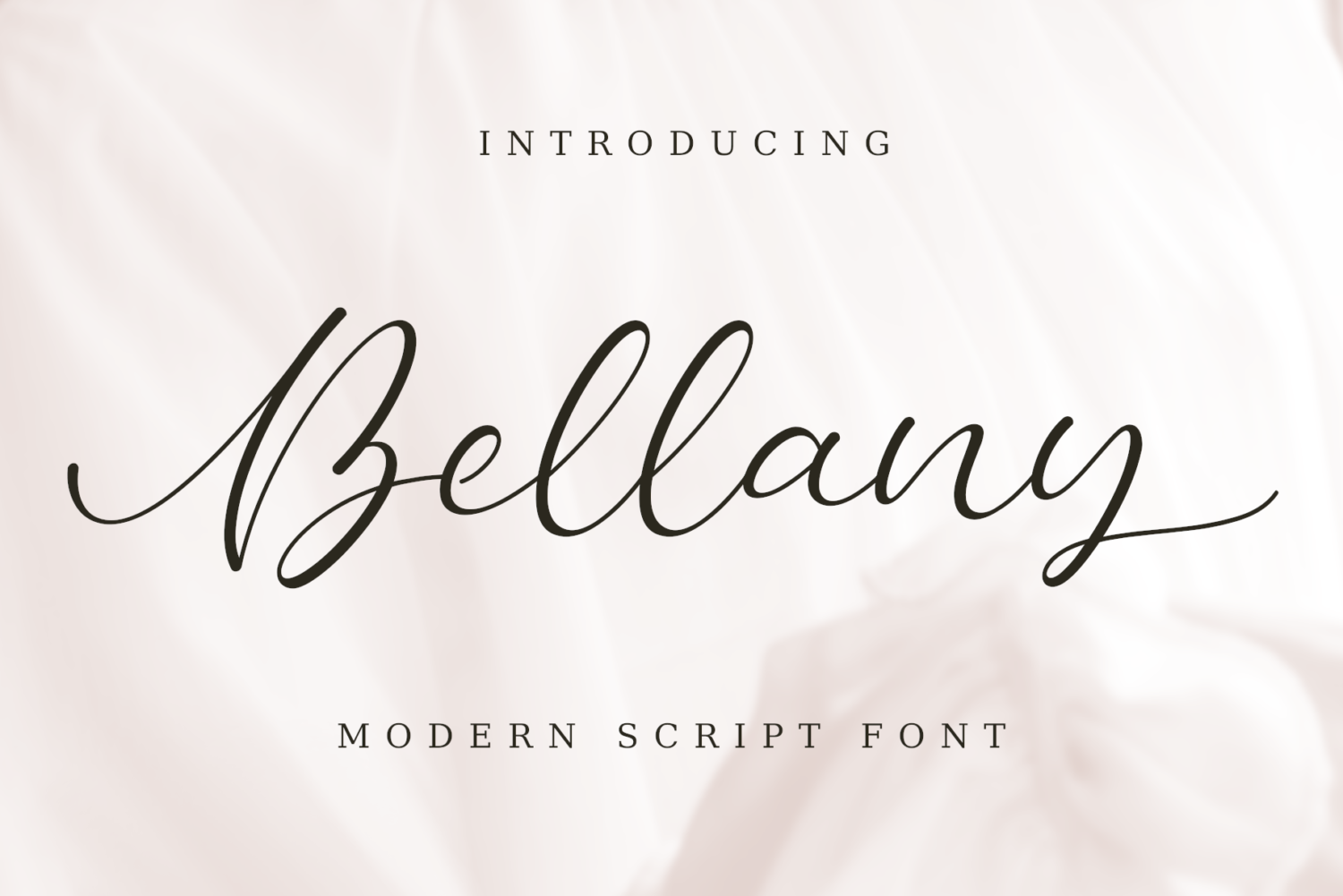 bella script font free download