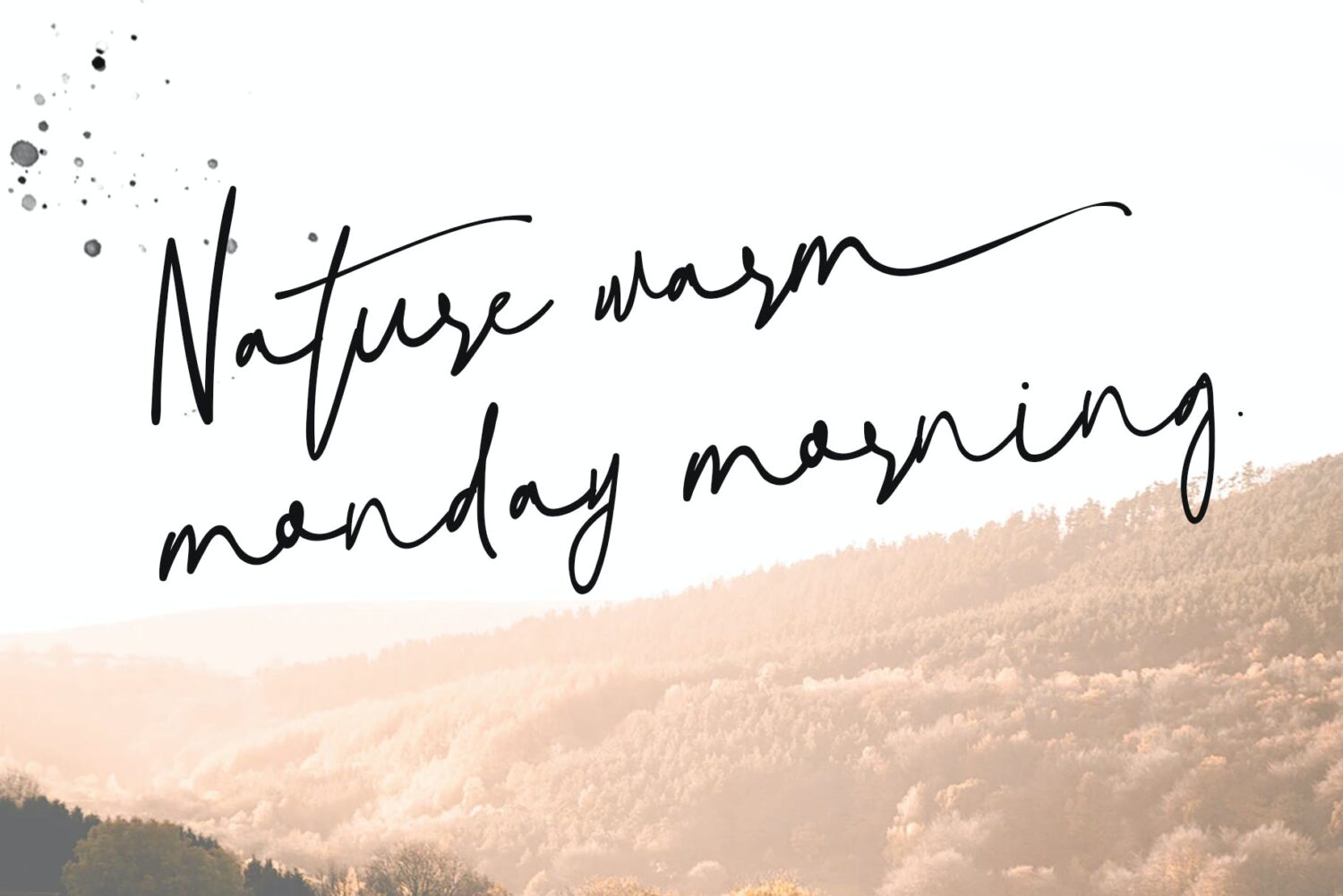 Free Natural Signature Script Font