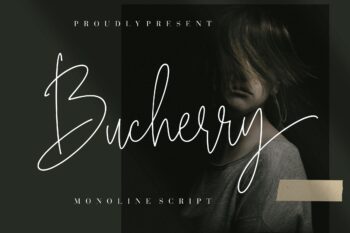 Bucherry Free Font